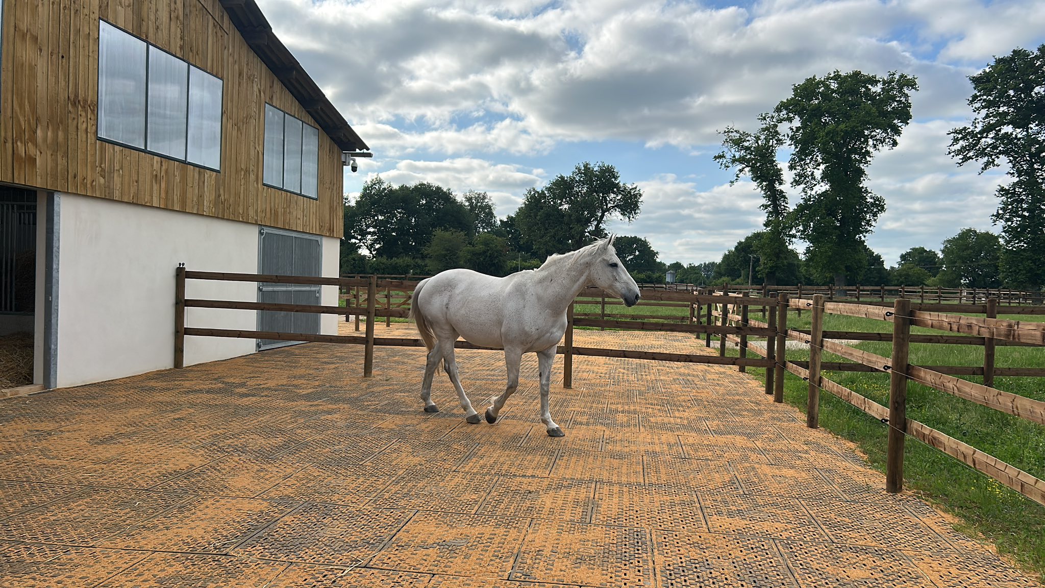 500767789_1262914455841443_2376246410675084534_n