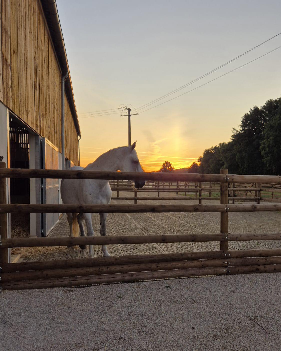 530285136_1323969516402603_2406197110198190032_n